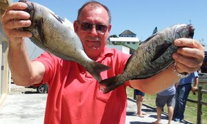 Swak vangstes - maar darem